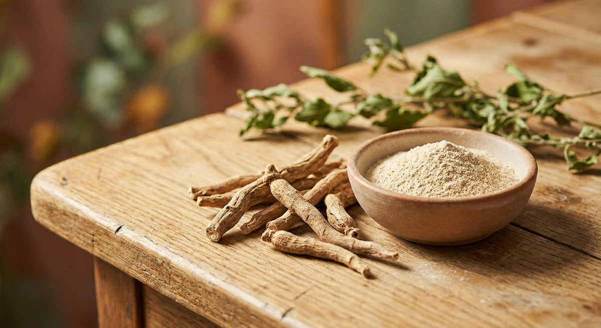 Ρίζα και σκόνη ασβαγκάντα (ashwagandha) - φυτική αδαπτογονική υποστήριξη για στρες και ύπνο