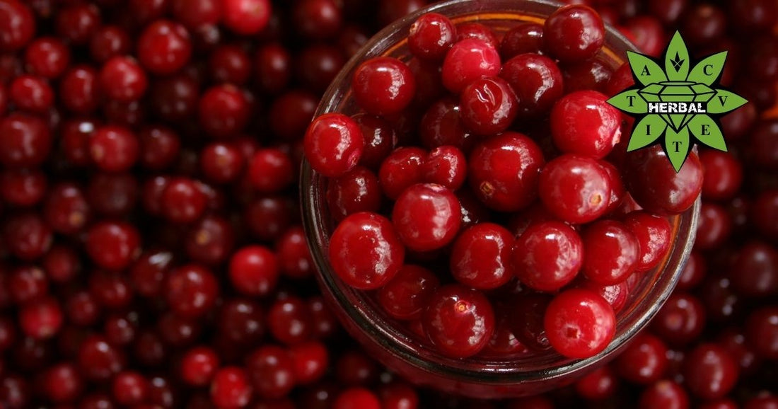 Червени Боровинки (Кокоз, Суница, Червена Брусница)- Ползи и Лечебни Свойства