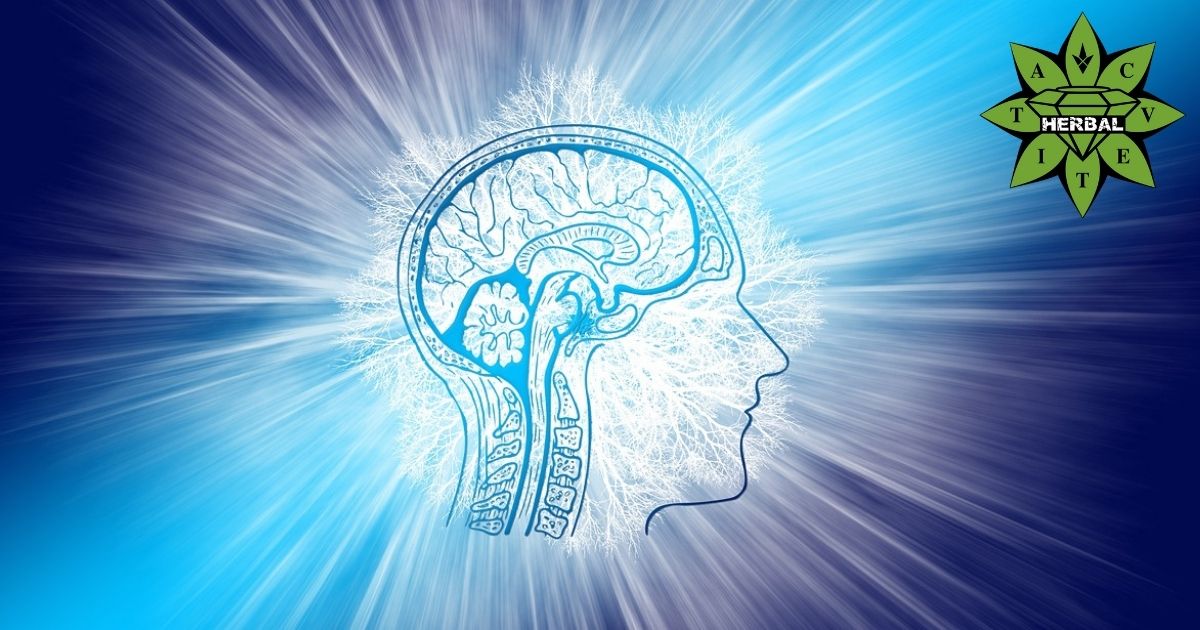 10 Τρόποι να Αποκτήσουμε Ντοπαμίνη με Φυσικό Τρόπο
