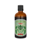 Εκχύλισμα Ginkgo Biloba – Ginkgo Biloba Max (100 ml)